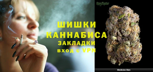 PSILOCYBIN Богородицк