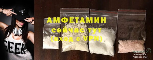 дживик Богородск