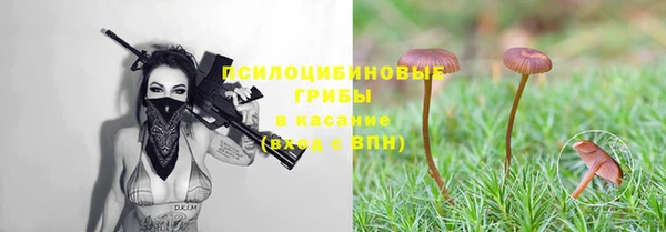 PSILOCYBIN Богородицк
