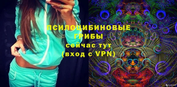 PSILOCYBIN Богородицк