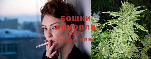 дживик Богородск