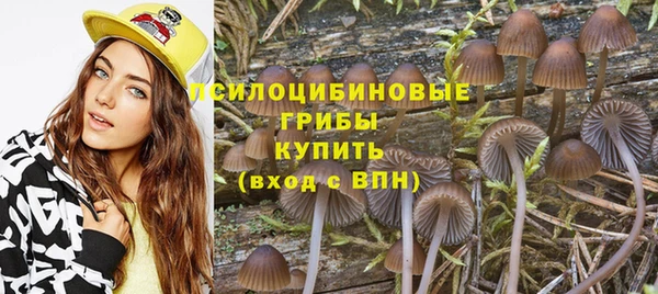 PSILOCYBIN Богородицк