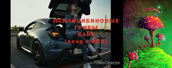 дживик Богородск