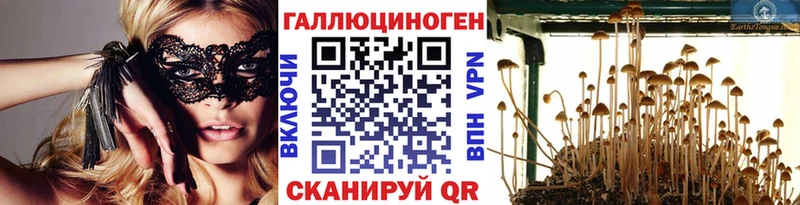 Галлюциногенные грибы GOLDEN TEACHER Слободской
