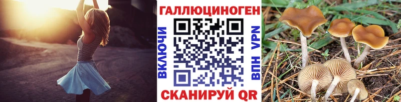 Псилоцибиновые грибы мицелий  Купить закладки  Слободской 